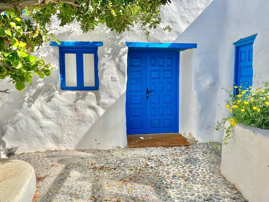 Pedro Barba Villa Ocean View מראה חיצוני תמונה